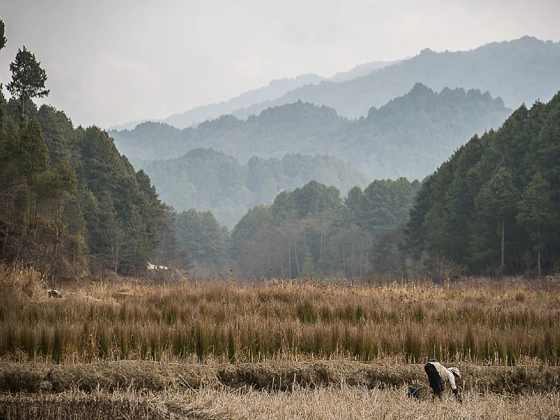 Monasteries & indigenous peoples in Arunachal Pradesh round trip